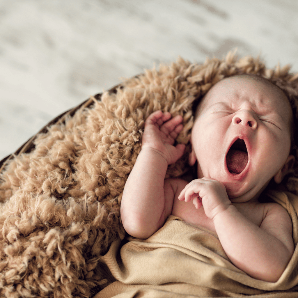 Baby laying in a fluffy basket with a blanket, yawning