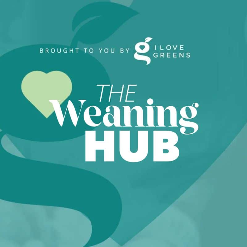 the-weaning-hub